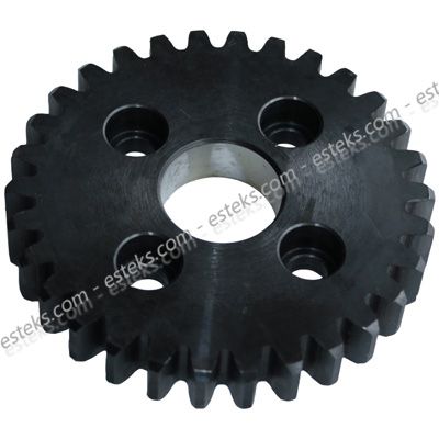 TAMBUR K. G. DİŞLİSİ