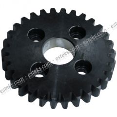 TAMBUR K. G. DİŞLİSİ