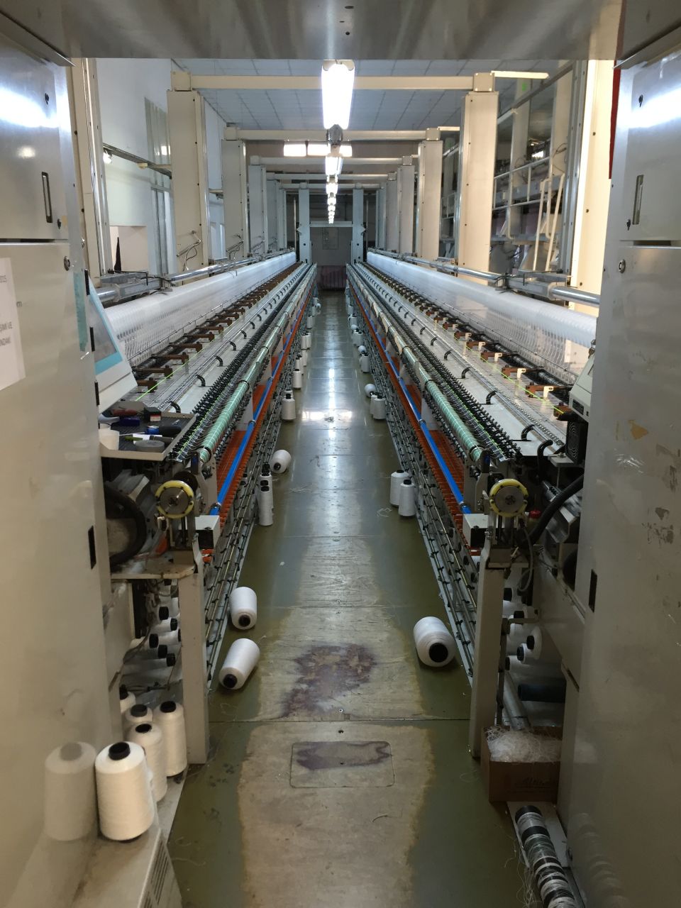 Lasser MD Çift Kasnak